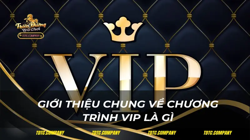 Giới thiệu chung về chương trình VIP là gì