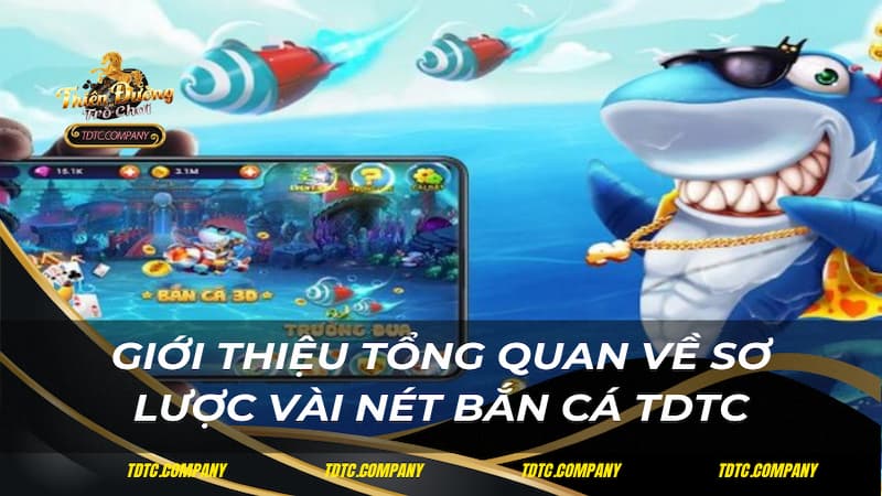 Giới thiệu tổng quan về sơ lược vài nét bắn cá TDTC