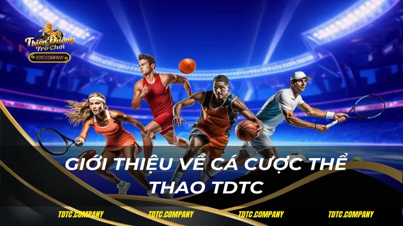 Giới thiệu về cá cược thể thao TDTC