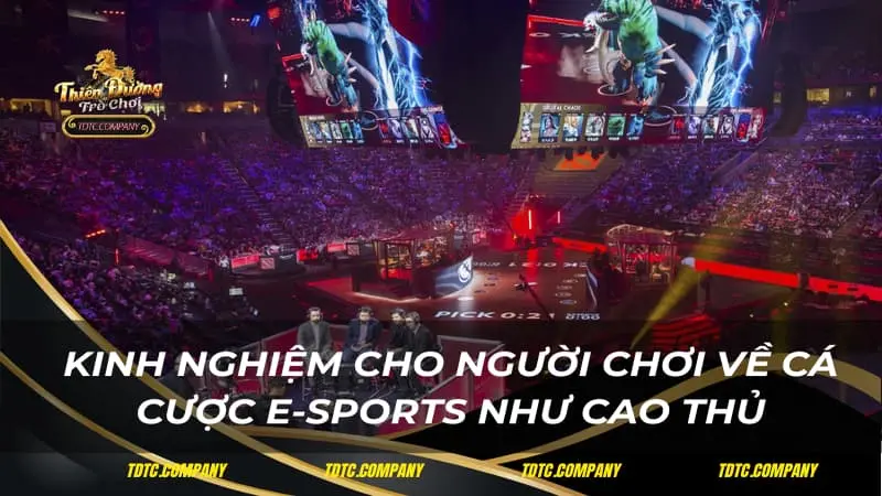 Kinh nghiệm cho người chơi về cá cược E-sports như cao thủ